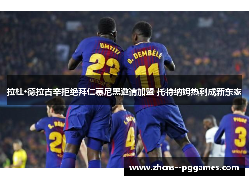 拉杜·德拉古辛拒绝拜仁慕尼黑邀请加盟 托特纳姆热刺成新东家 拉杜·德拉古辛拒绝拜仁慕尼黑邀请加盟 托特纳姆热刺成新东家